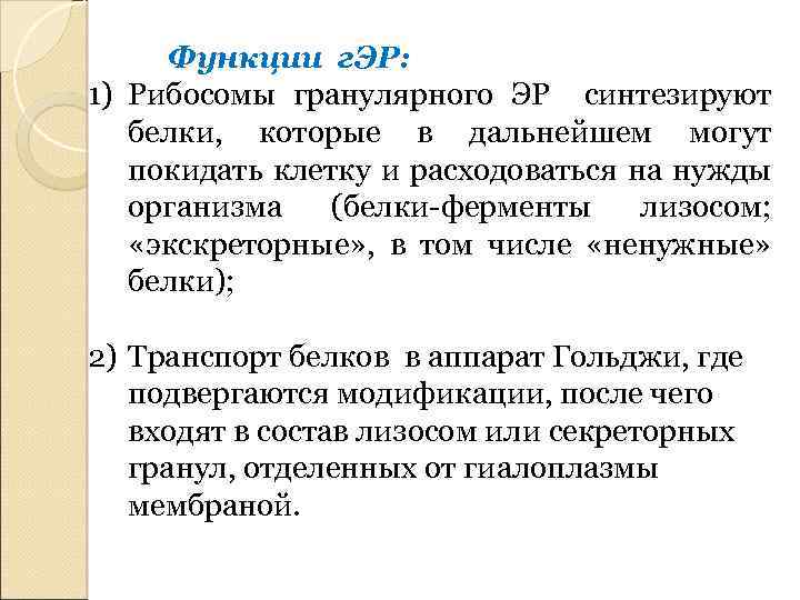 Функции г. ЭР: 1) Рибосомы гранулярного ЭР синтезируют белки, которые в дальнейшем могут покидать