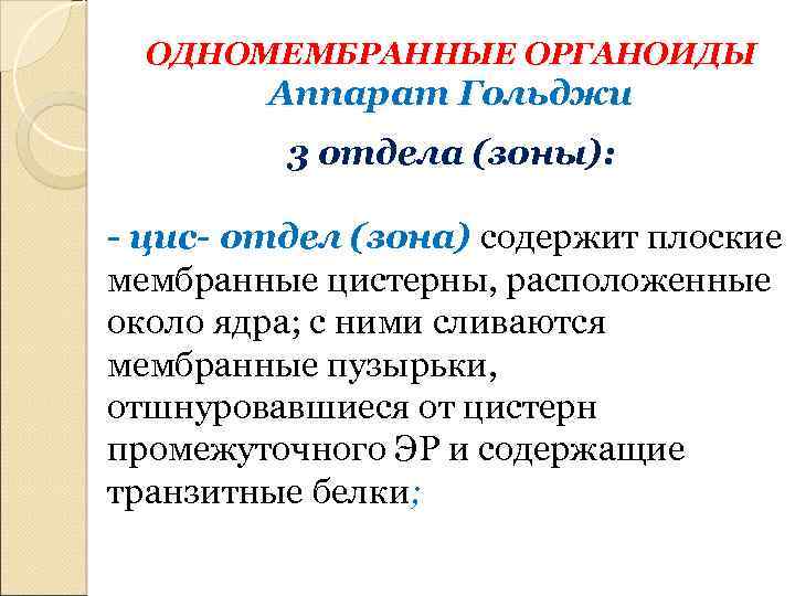 ОДНОМЕМБРАННЫЕ ОРГАНОИДЫ Аппарат Гольджи 3 отдела (зоны): - цис- отдел (зона) содержит плоские мембранные