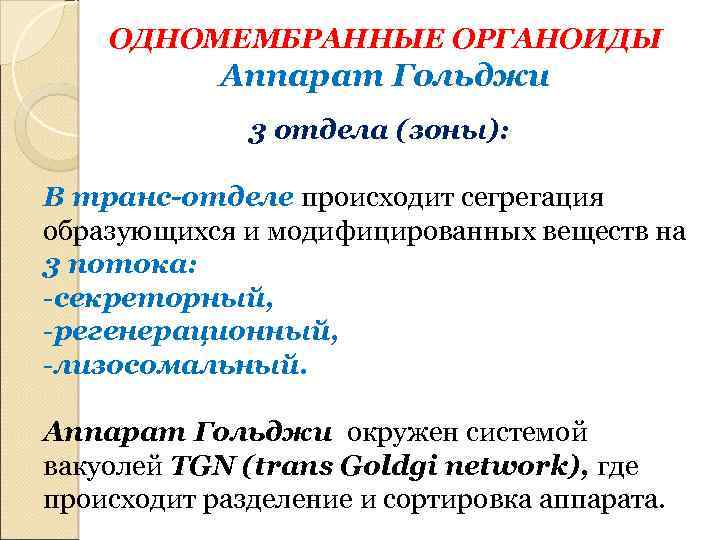 ОДНОМЕМБРАННЫЕ ОРГАНОИДЫ Аппарат Гольджи 3 отдела (зоны): В транс-отделе происходит сегрегация образующихся и модифицированных