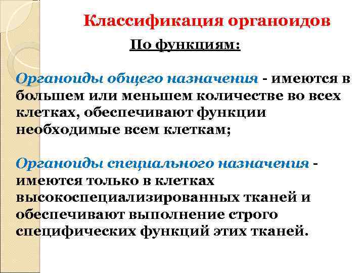 Классификация органоидов По функциям: Органоиды общего назначения - имеются в большем или меньшем количестве