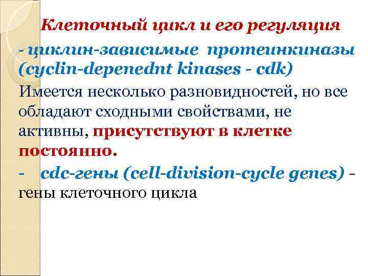 Клеточный цикл и его регуляция - циклин-зависимые протеинкиназы (cyclin-depenednt kinases - cdk) Имеется несколько