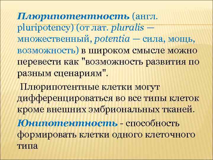 Плюрипотентность (англ. pluripotency) (от лат. pluralis — множественный, potentia — сила, мощь, возможность) в