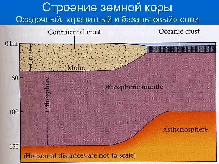 Какой слой земной коры обозначен на рисунке цифрой 3 слой ответить