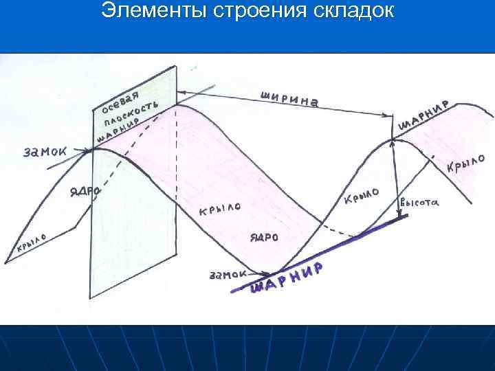 Элементы строения складок 