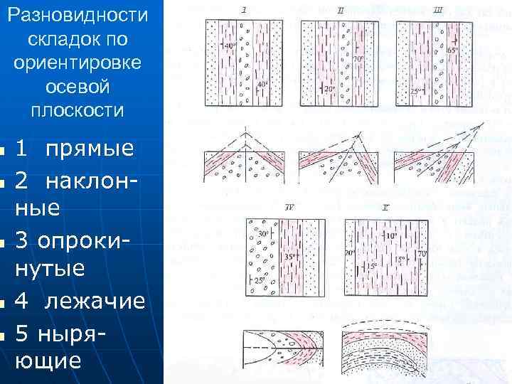 Сопоставьте элементы рисунка а б в г с типами складок по положению крыльев