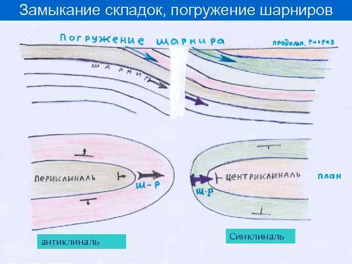 Шарнир складки это