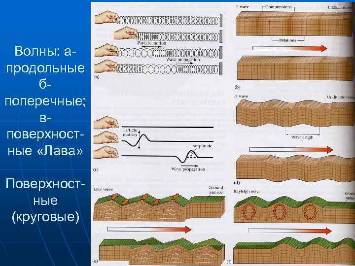 Волны: апродольные бпоперечные; вповерхностные «Лава» Поверхностные (круговые) 