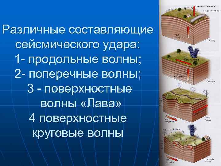 Различные составляющие сейсмического удара: 1 - продольные волны; 2 - поперечные волны; 3 -