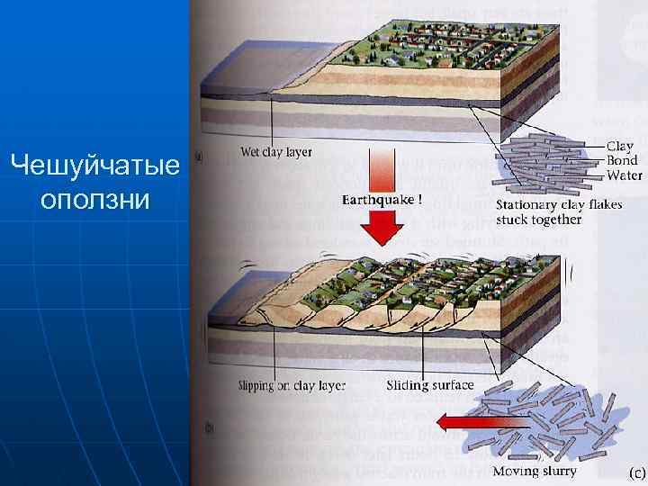 Чешуйчатые оползни 