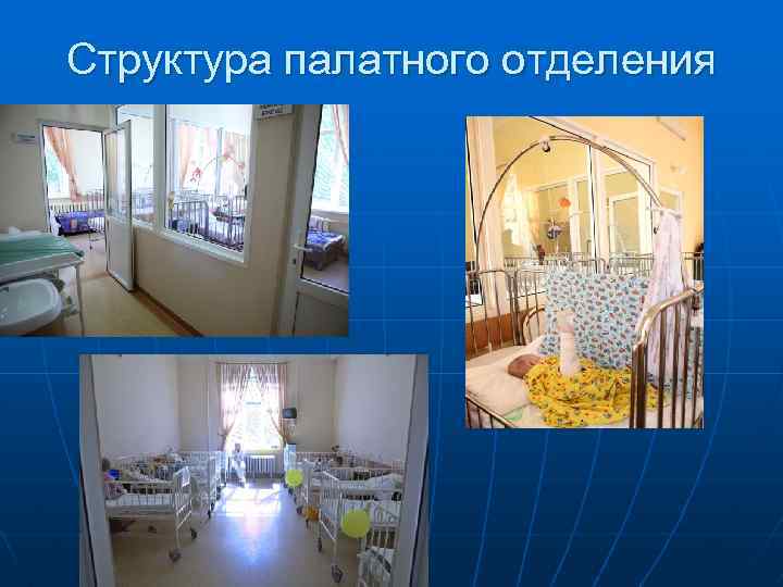 Структура палатного отделения 