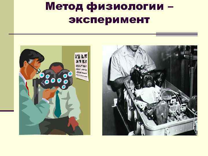 Метод физиологии – эксперимент 