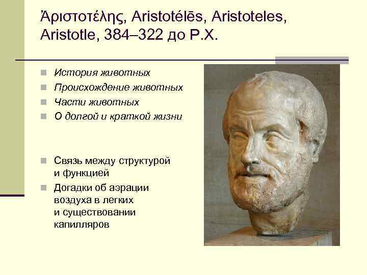 Ἀριστοτέλης, Aristotélēs, Aristoteles, Aristotle, 384– 322 до Р. Х. n История животных n Происхождение