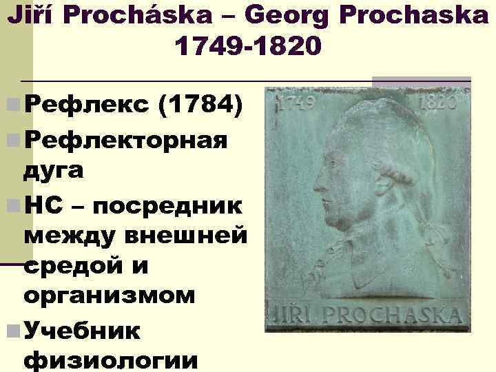 Jiří Procháska – Georg Prochaska 1749 -1820 n Рефлекс (1784) n Рефлекторная дуга n