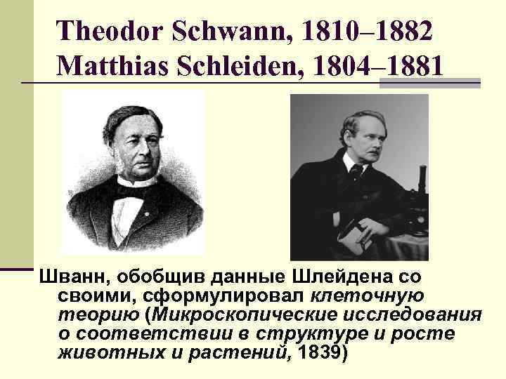 Theodor Schwann, 1810– 1882 Matthias Schleiden, 1804– 1881 Шванн, обобщив данные Шлейдена со своими,