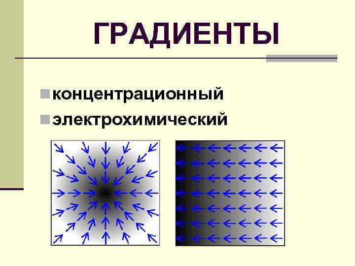ГРАДИЕНТЫ n концентрационный n электрохимический 