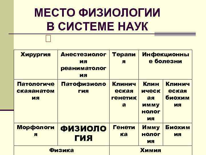 МЕСТО ФИЗИОЛОГИИ В СИСТЕМЕ НАУК Хирургия Анестезиолог ия реаниматолог ия Терапи я Патологиче скаяанатом