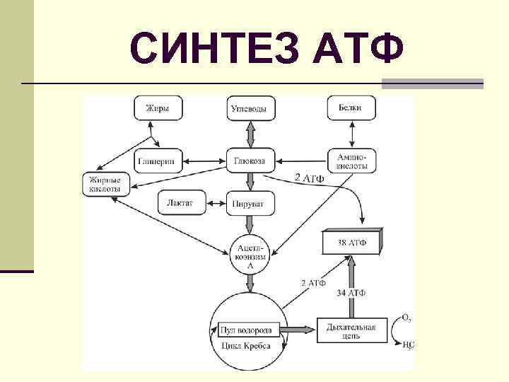 Анализ и синтез схема