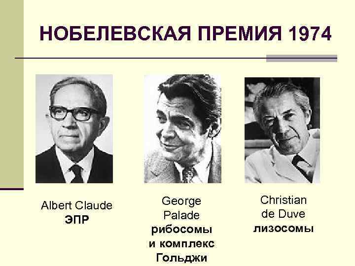 НОБЕЛЕВСКАЯ ПРЕМИЯ 1974 Albert Claude ЭПР George Palade рибосомы и комплекс Гольджи Christian de
