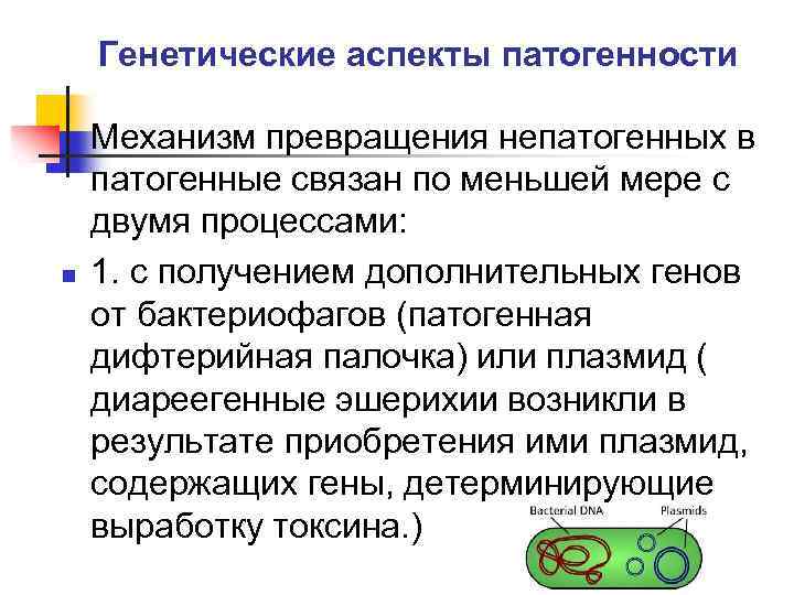 Генетические аспекты патогенности n Механизм превращения непатогенных в патогенные связан по меньшей мере с