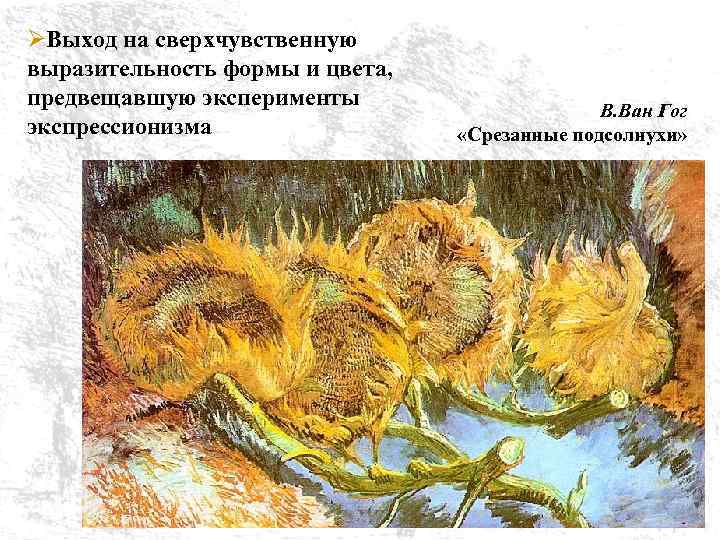 ØВыход на сверхчувственную выразительность формы и цвета, предвещавшую эксперименты экспрессионизма В. Ван Гог «Срезанные