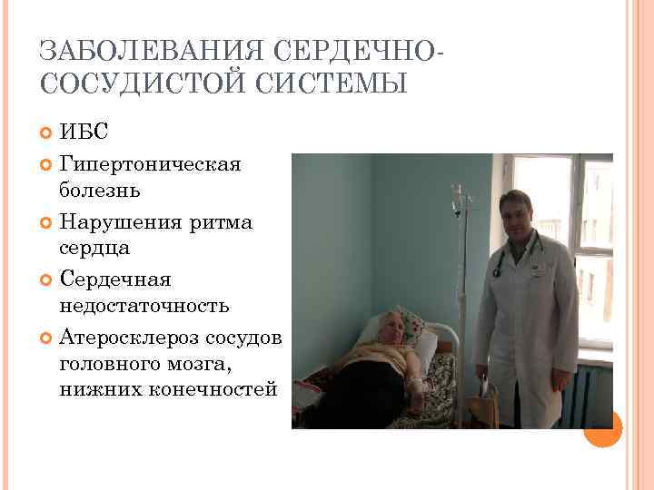 ЗАБОЛЕВАНИЯ СЕРДЕЧНОСОСУДИСТОЙ СИСТЕМЫ ИБС Гипертоническая болезнь Нарушения ритма сердца Сердечная недостаточность Атеросклероз сосудов головного
