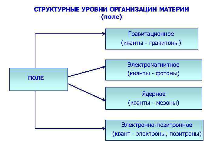 Структурные уровни материи. Структурные уровни материи в физике презентация. Наименьший уровень материи в физике.