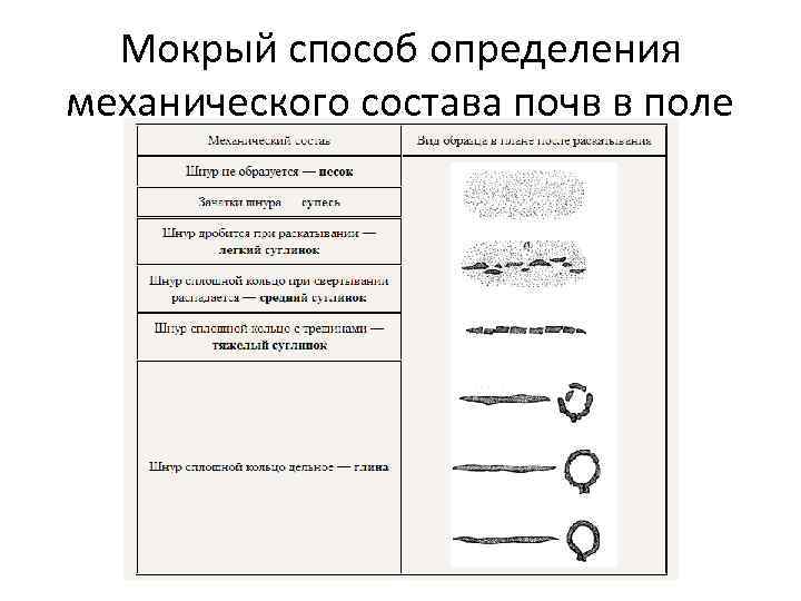 Мокрый способ определения механического состава почв в поле 