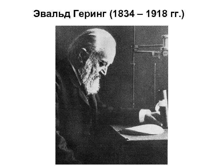 Эвальд Геринг (1834 – 1918 гг. ) 