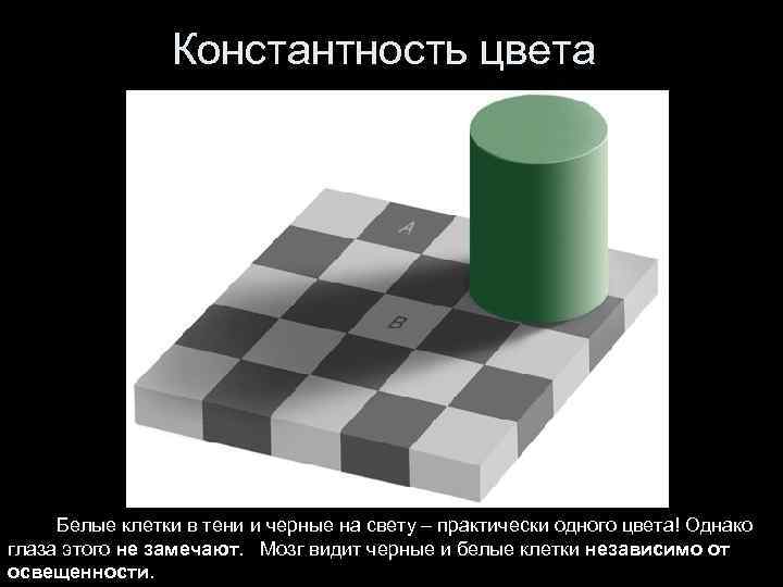 Константность цвета Белые клетки в тени и черные на свету – практически одного цвета!
