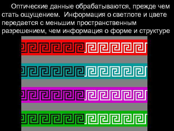  Оптические данные обрабатываются, прежде чем стать ощущением. Информация о светлоте и цвете передается