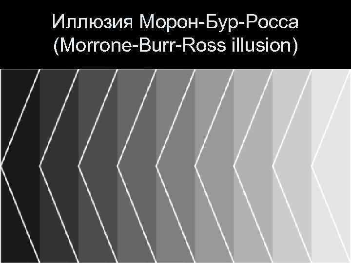 Иллюзия Морон-Бур-Росса (Morrone-Burr-Ross illusion) 