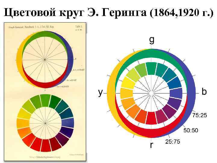 Цветовой круг Э. Геринга (1864, 1920 г. ) 