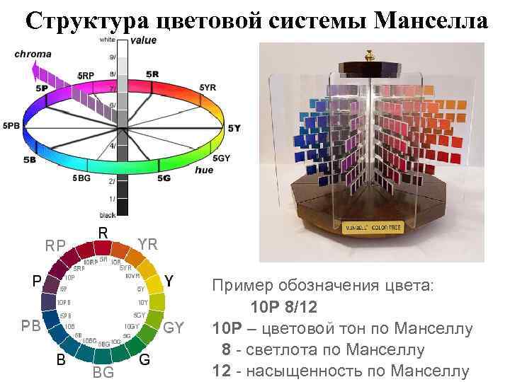 Структура цветовой системы Манселла Пример обозначения цвета: 10 P 8/12 10 P – цветовой
