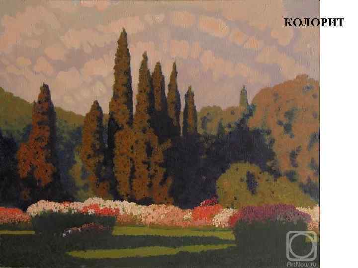 КОЛОРИТ 