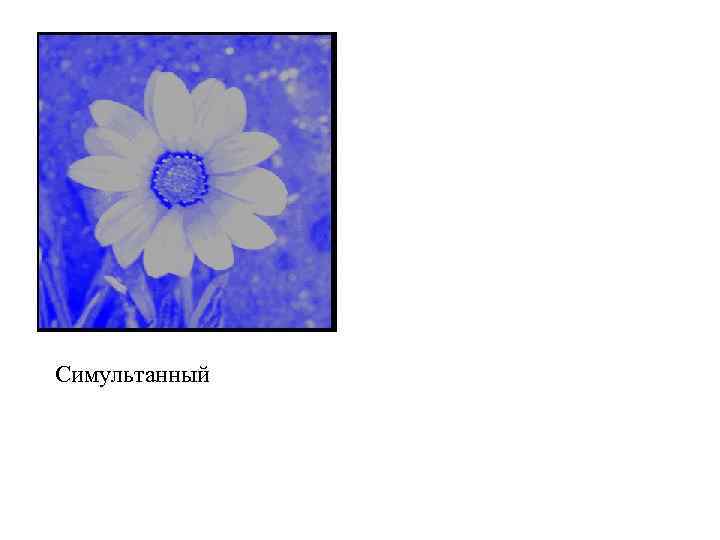 Симультанный 