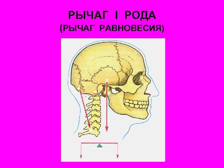 РЫЧАГ I РОДА (РЫЧАГ РАВНОВЕСИЯ) 