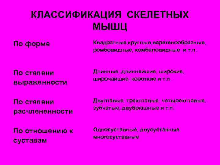 КЛАССИФИКАЦИЯ СКЕЛЕТНЫХ МЫШЦ По форме Квадратные, круглые, веретенообразные, ромбовидные, комбаловидные и т. п. По