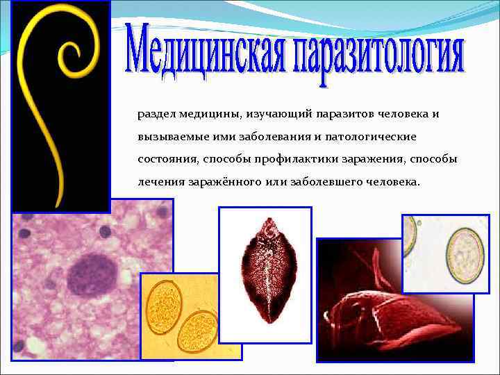 Медицинская паразитология презентация