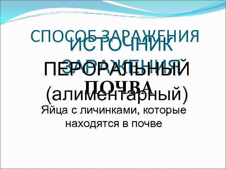 СПОСОБ ЗАРАЖЕНИЯ ИСТОЧНИК ЗАРАЖЕНИЯ ПЕРОРАЛЬНЫЙ ПОЧВА (алиментарный) Яйца с личинками, которые находятся в почве