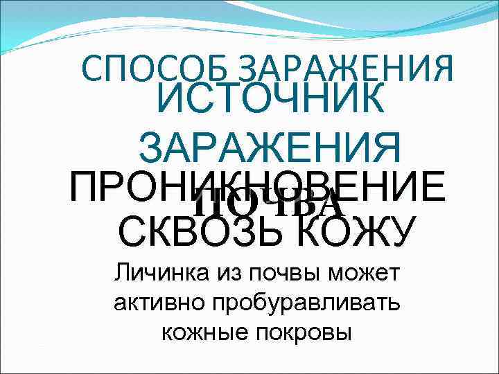 СПОСОБ ЗАРАЖЕНИЯ ИСТОЧНИК ЗАРАЖЕНИЯ ПРОНИКНОВЕНИЕ ПОЧВА СКВОЗЬ КОЖУ Личинка из почвы может активно пробуравливать