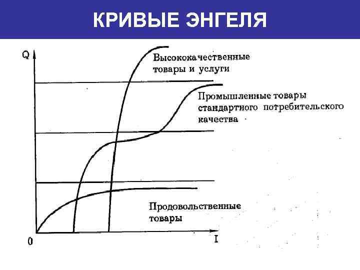 КРИВЫЕ ЭНГЕЛЯ 