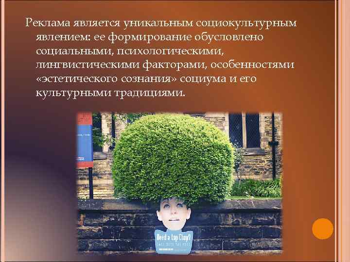Реклама является уникальным социокультурным явлением: ее формирование обусловлено социальными, психологическими, лингвистическими факторами, особенностями «эстетического