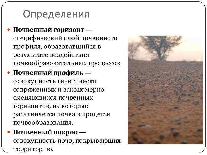 Благодаря особенностям почвы. Почвенный Горизонт это определение. Краткая характеристика почвенных горизонтов. Понятие о почвенном профиле. Почвенный профиль это определение.