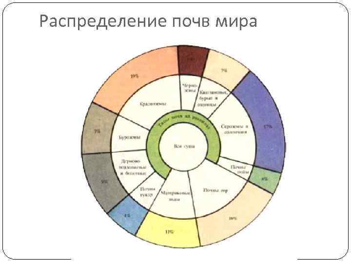 Мировые почвы