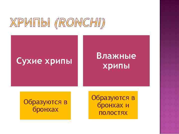 Сухие хрипы Образуются в бронхах Влажные хрипы Образуются в бронхах и полостях 