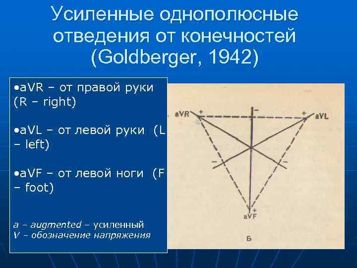 Усиленные однополюсные отведения от конечностей (Goldberger, 1942) • a. VR – от правой руки