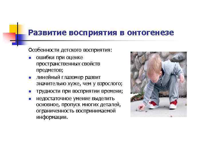 Развитие восприятия в онтогенезе Особенности детского восприятия: n ошибки при оценке пространственных свойств предметов;