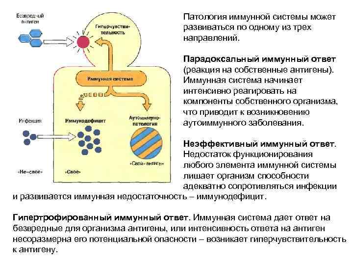 Патология иммунной системы может развиваться по одному из трех направлений. Парадоксальный иммунный ответ (реакция
