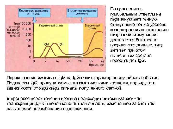 По сравнению с гуморальным ответом на первичную антигенную стимуляцию тот же уровень концентрации антител