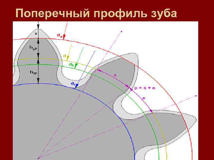 Поперечный профиль зуба 